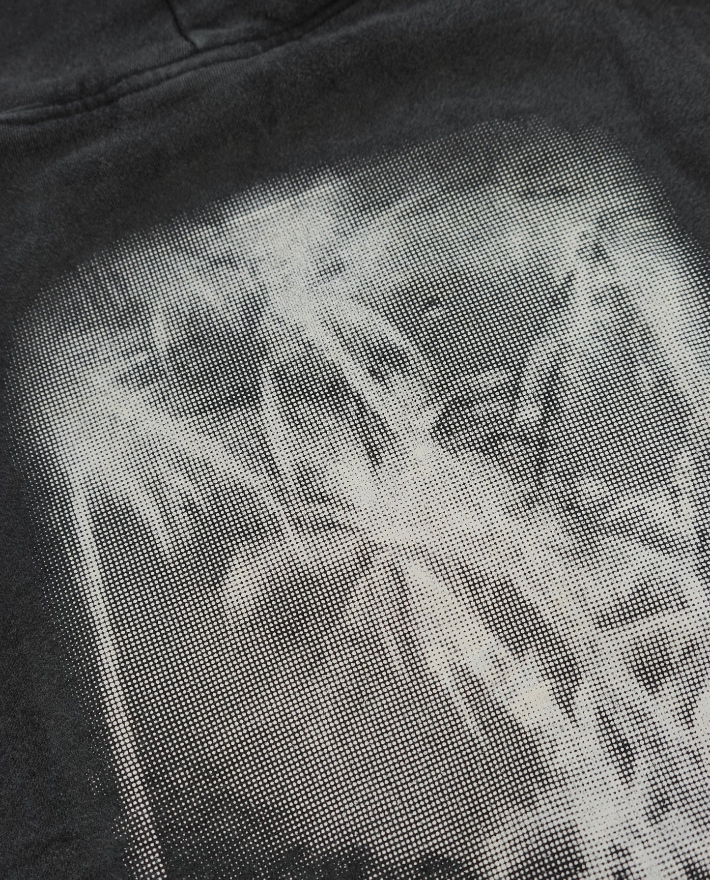 EMBROIDERED PALMS HOODIE