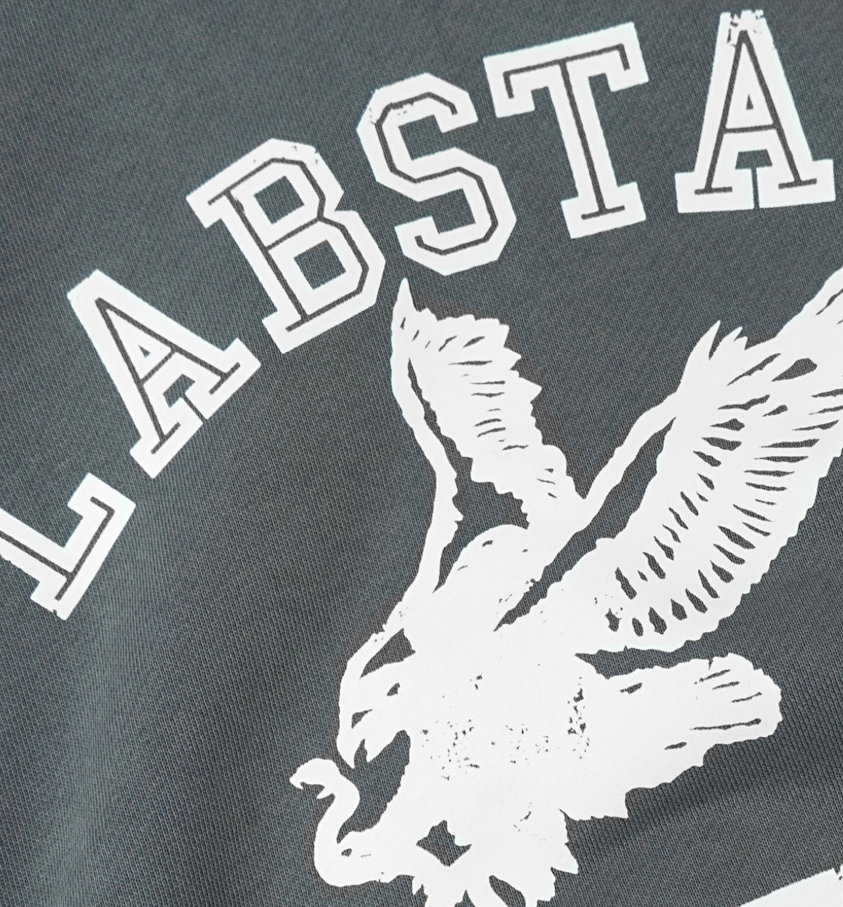 LABSTARS ATHLETICS HOODIE