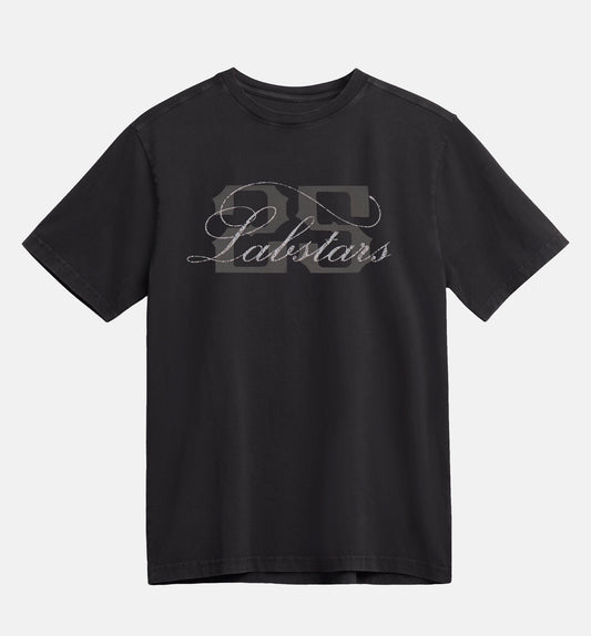 LABSTARS 25 SNAKE TEE